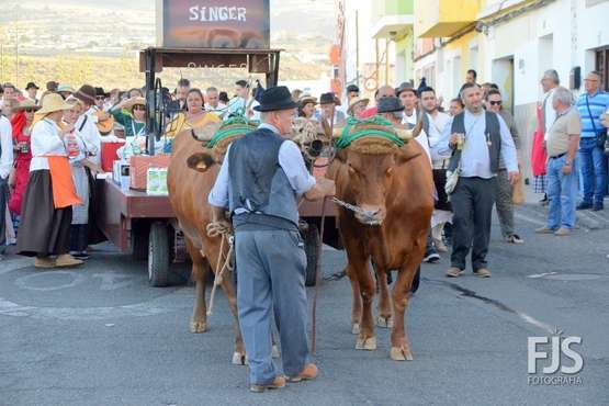 Alegre y participativa romería en El Ejido (Foto FJ Santana y TF)
